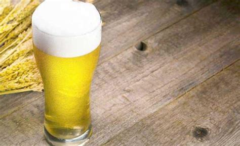 啤酒的麦芽度和酒精度有什么区别?