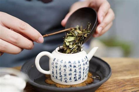 让中国茶走进更多人的日常 小罐茶推出平价版！ – 连线家