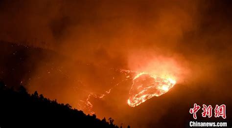 凉山森林火灾30名救火英雄牺牲：消防员的职业就是以命换命吗？