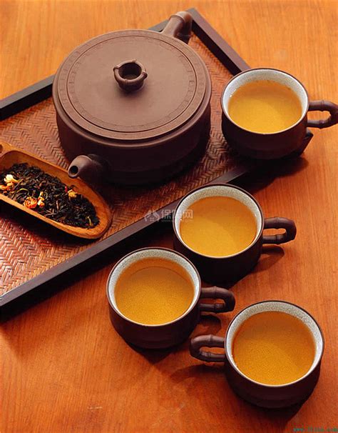 入秋喝茶好处多，感受舌尖上的茶香——乳山极北茶_茶叶
