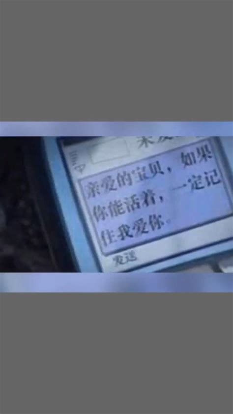 西安村民讲述熊猫进棚躲雨全过程：帮忙看了一夜玉米地_手机新浪网