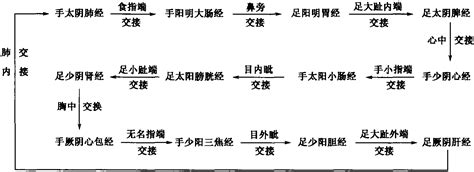 十二经脉的循行走向与交接规律-中国传统临床医学-医学