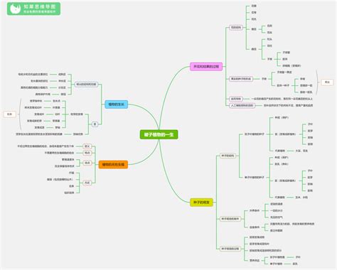 初中生物思维导图(全套) -24张生物知识框架图整理_知犀官网