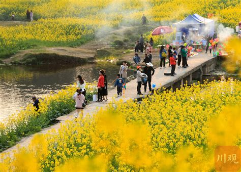 宜宾三江新区：在发展大局中敢于担当、展现作为---四川日报电子版