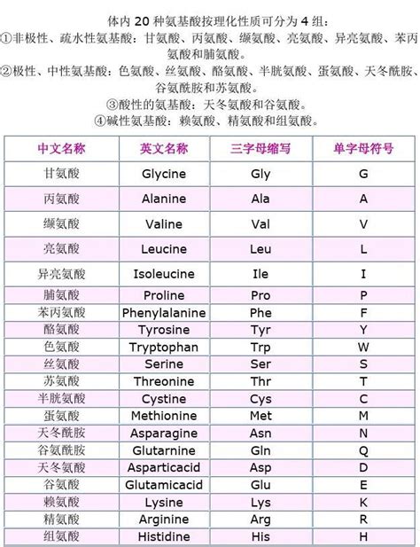 【附图】20种普通氨基酸的名称和符号_血液病学 | 天山医学院