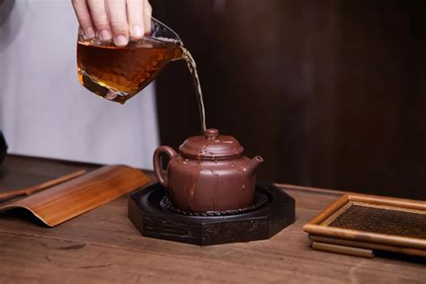 冲泡绿茶的三种投茶方式，哪一种最好？- 茶文化网