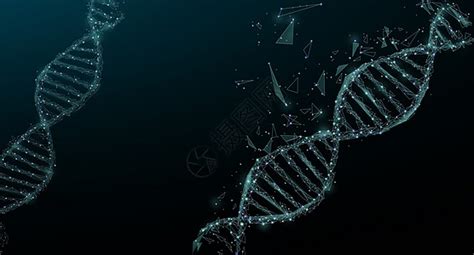 基因转基因结构科技蓝色海报背景图片免费下载_海报banner/高清大图_千库网(图片编号4737058)
