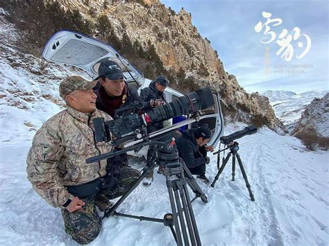 电影《雪豹和她的朋友们》发布终极预告及海报_娱乐八卦_中国小康网