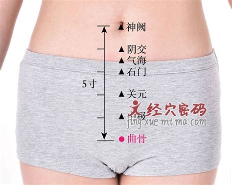 曲骨的准确位置图图片 曲骨的准确位置图图片