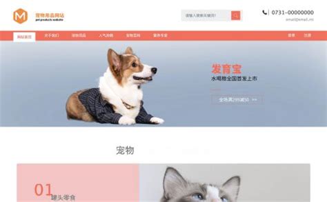 爱宠之家展示网站自适应响应式宠物网站模板免费下载_懒人模板
