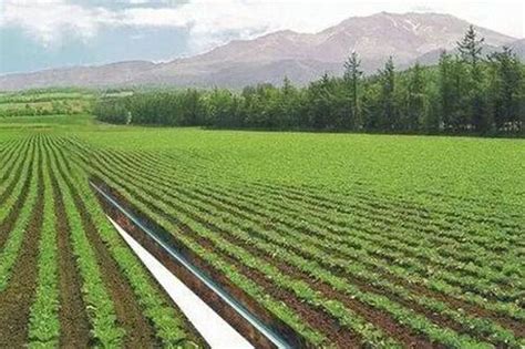 农田灌溉时怎样才能提高水的利用率,减少水的浪费呢?-农田灌溉 ...