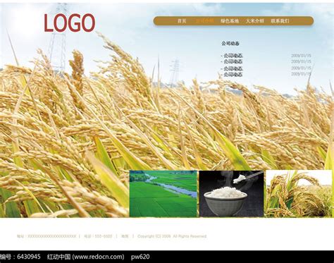 图册排版设计 农业产品画册设计,大米画册设计，大米宣传册设计-广州古柏广告策划有限公司