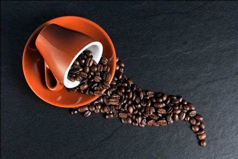 空腹喝咖啡能减肥吗？ - 知乎