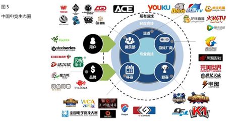 2017年我国体育行业简介、产业链及内容优势分析（图） - 中国报告网