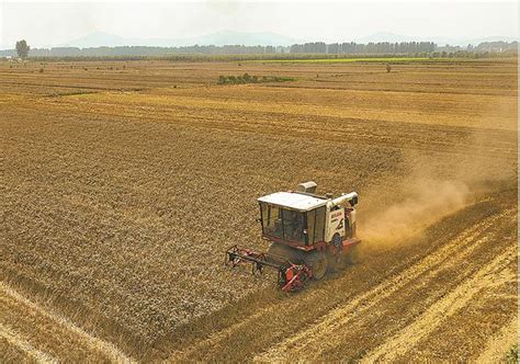 襄阳市536万亩小麦完成收割 为全年粮食丰收奠定基础 | 农机新闻网