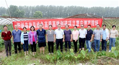 阳新县推广蔬菜绿色高质高效技术初显成效-阳新县人民政府