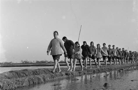 老照片 法国摄影师拍摄的60年代河南洛阳农村 看上去好亲切|棉花|河南洛阳|摄影师_新浪新闻