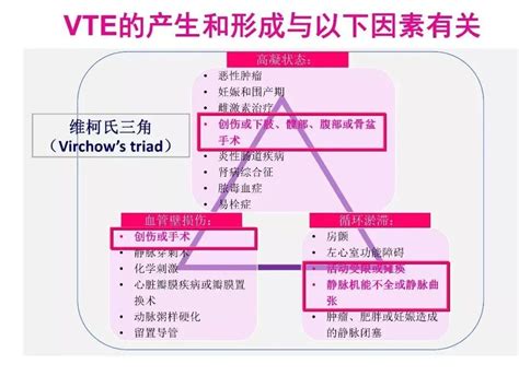 Deep Vein Thrombosis (DVT) Risks - Inovia Vein Specialty Center