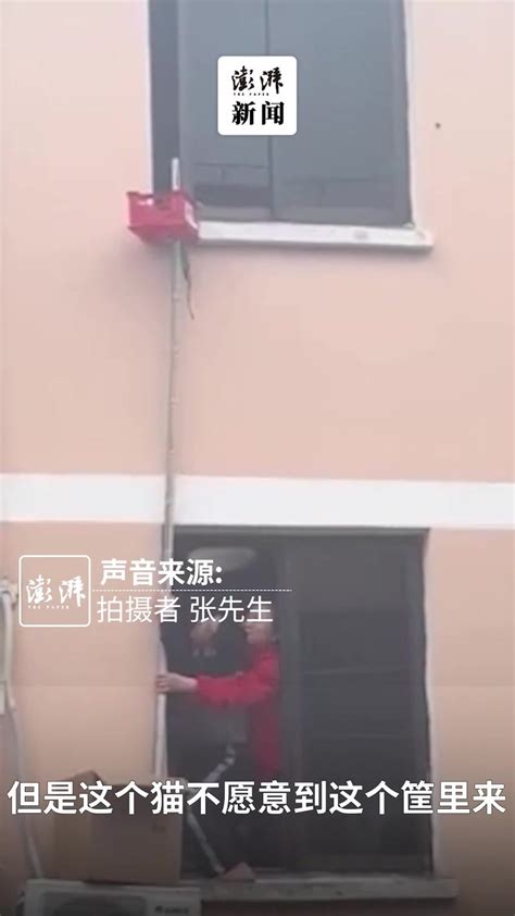 上海一对老年夫妻从5楼隔空递食物给楼上“独居”猫咪_凤凰网视频_凤凰网