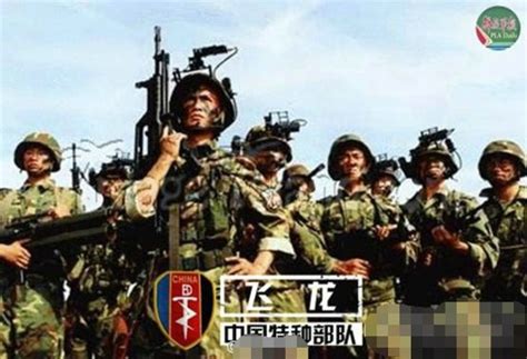 特战队员野外训练 锻造“反恐利刃” - 中国军网