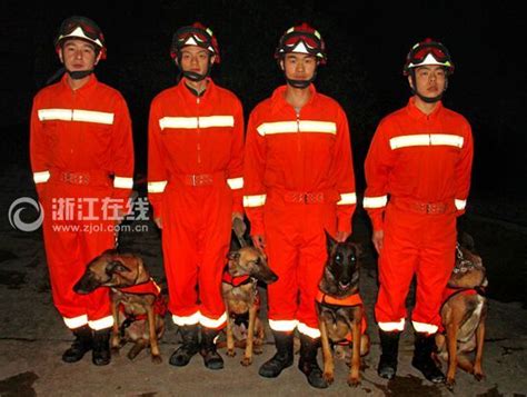 冷血、无情、铁手、追命 杭州消防搜救犬队的“四大名捕”-新闻中心-温州网