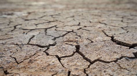 1200年来最严重的旱灾！美国“渴死了”|旱灾|干旱|全球变暖_新浪新闻