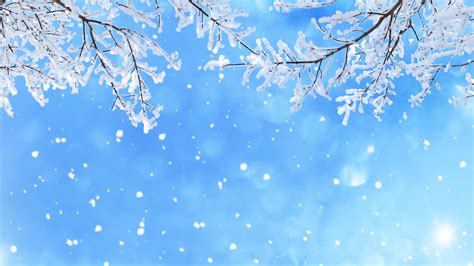 冬季 天空 雪花 树枝 蓝色背景 5k图片壁纸(小清新静态壁纸) - 静态壁纸下载 - 元气壁纸