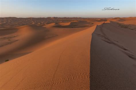 【备考干货】千态万状的沙丘有哪些种类？不同的沙丘类型及影响它风向的判断_方向