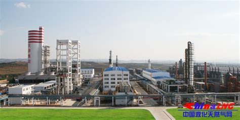 山西天泽煤化工集团年产40万吨合成氨、60万吨尿素项目_华安项目管理咨询有限公司