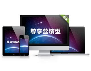 郑州seo公司-网站优化服务外包、快照排名推广-野狼SEO团队