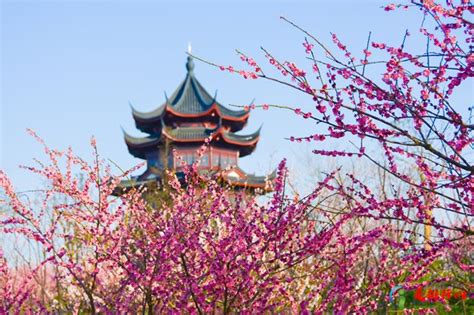 上海最新版星级公园名单出炉 静安19座公园上榜