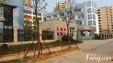 远拍、近拍名流的新学校——盘龙城一小附属小学-名流人和天地业主论坛- 武汉房天下