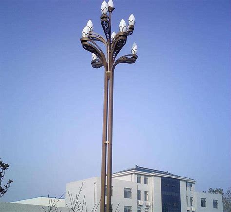 新疆乌鲁木齐达坂城区户外道路灯生产厂家LED八叉九火8-12米玉兰灯定制价格-一步电子网