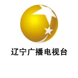 辽宁网络推广网站域名设计平台_V优客