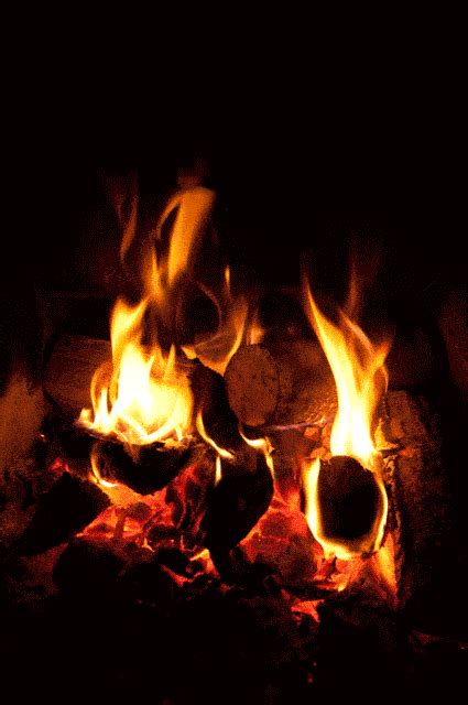 燃烧的火焰木材图片_壁炉里燃烧的木材素材_高清图片_摄影照片_寻图免费打包下载