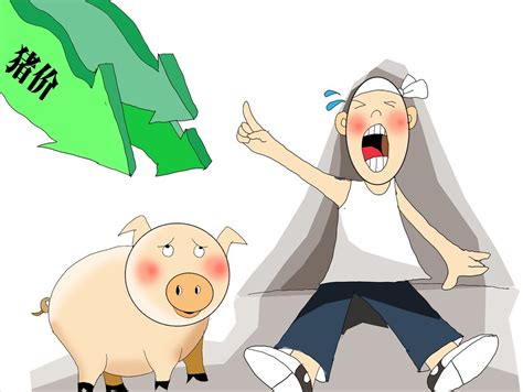 今日猪价行情|2022猪价行情预测|猪价行情网 - 生猪全产业链垂直门户资讯网站！