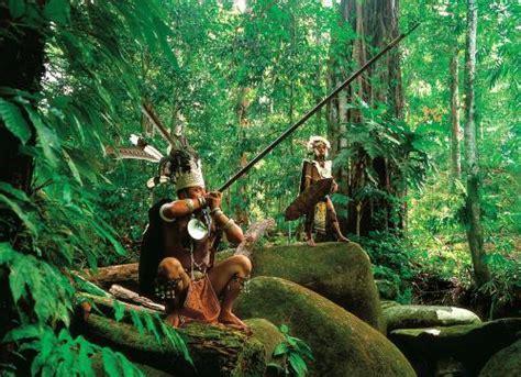 亚马逊雨林大火持续肆虐，巴西土著部落举行仪式祈福__凤凰网