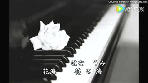 中孝介翻唱周杰伦的《花海》，日语版的别有一番味道！