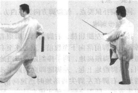 一、第四十五势剑谱：鱼跳龙门|传统杨式太极剑|武术世家