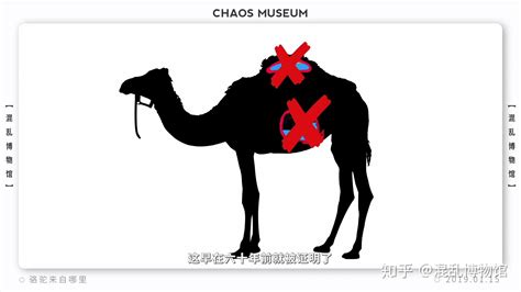 台湾骆驼是什么牌子 - 业百科