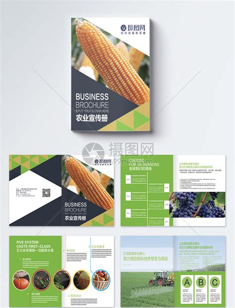 农业产品宣传画册整套模板素材-正版图片400182007-摄图网