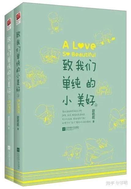 小说推荐—赵乾乾的【致我们】系列 - 知乎