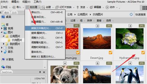 ACDSee中文版免费下载_ACDSee简体中文版下载【图片浏览】-华军软件园