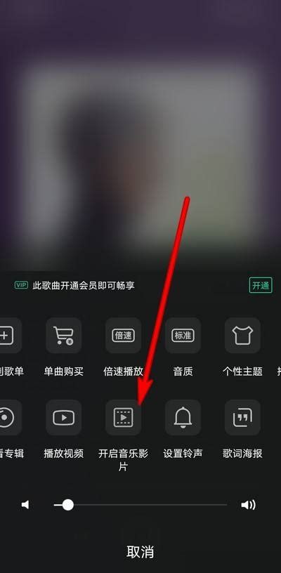 QQ音乐如何关闭音乐影片-QQ音乐关闭音乐影片方法介绍-兔叽下载站