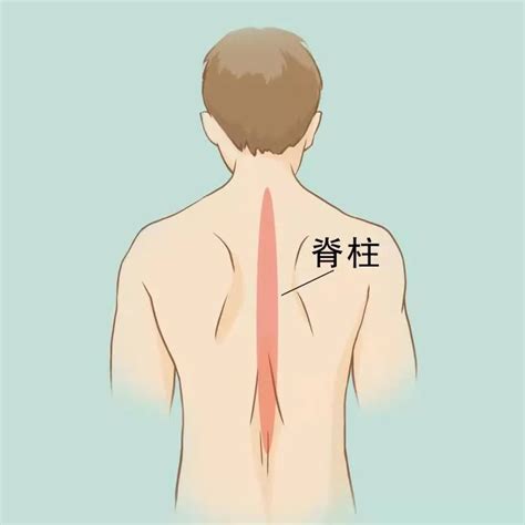 人体后背位置图图片