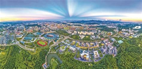 2022年龙岗区特殊群体家庭公租房有没有学位-深圳办事易-深圳本地宝