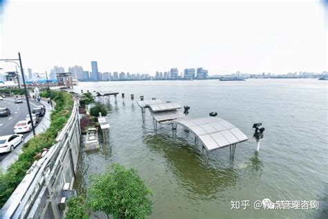 武汉洪水VR全景直播：全市防洪形势严峻_大楚网_腾讯网