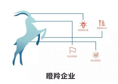 喜报 ：我司入选南京市2022年度瞪羚企业 -江苏策腾智能科技有限公司