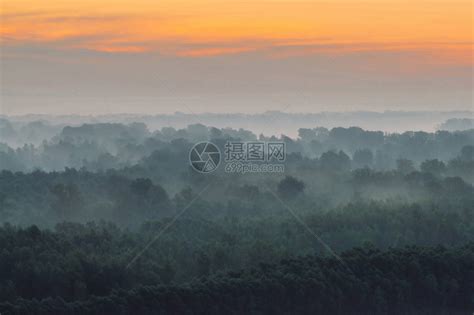 清晨在阴霾下的森林顶部的神秘景观高清图片下载-正版图片506102753-摄图网