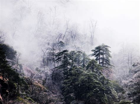 雨后山景云雾缭绕美句,太行山,仙境_大山谷图库